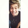 Hemmo1996