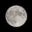 Moon lovers