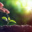 NewLife