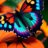 La mariposa