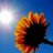sonce10