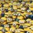 TimTheMinion